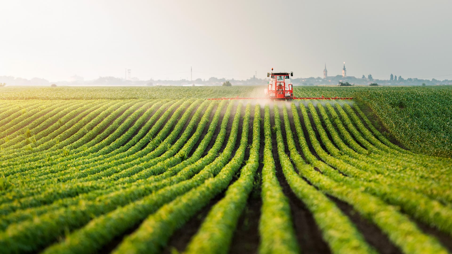 Agriculture and Crop Protection